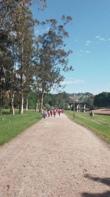 Xornada de convivencia có alumando do CEP Marcos da Portela
Ruta pola Illa das Esculturas có alumnado do Colexio Marcos da Portela
Palabras chave: Ruta Illas das Esculturas Excursión Marcos da Portela