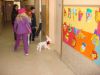 resized_DSC04479~0.jpg