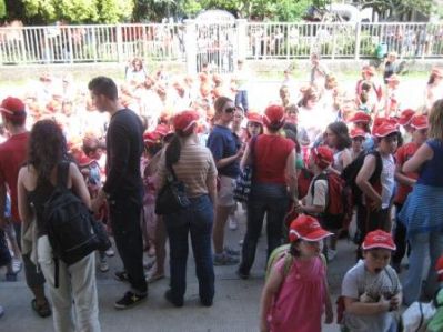 IMG_6800.jpg