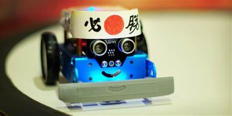 robot sumo