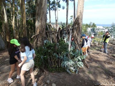 P1100831_redi.JPG