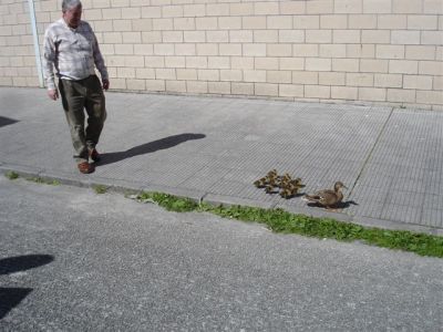 Pero, non atopaban a saída...
