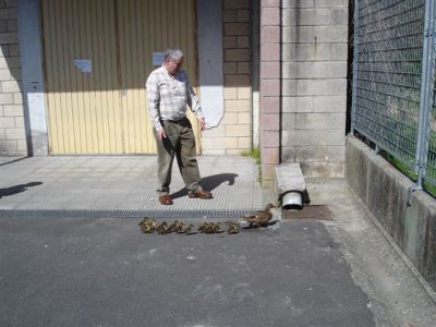 Xa chegaron á saída, o xefe orientounos ben
