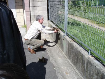 Con moito coidadiño...
