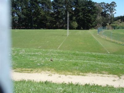 E, xa por fin, toda a familia parrula, chegou ao seu destino.
