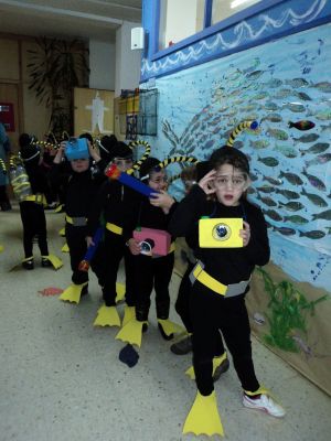 mergulladores
mergullados no acuario
