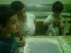 DSC00595.JPG