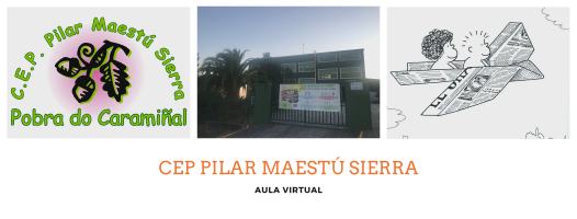 AULA VIRTUAL