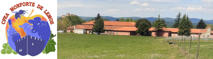 CFEA de Monforte de Lemos