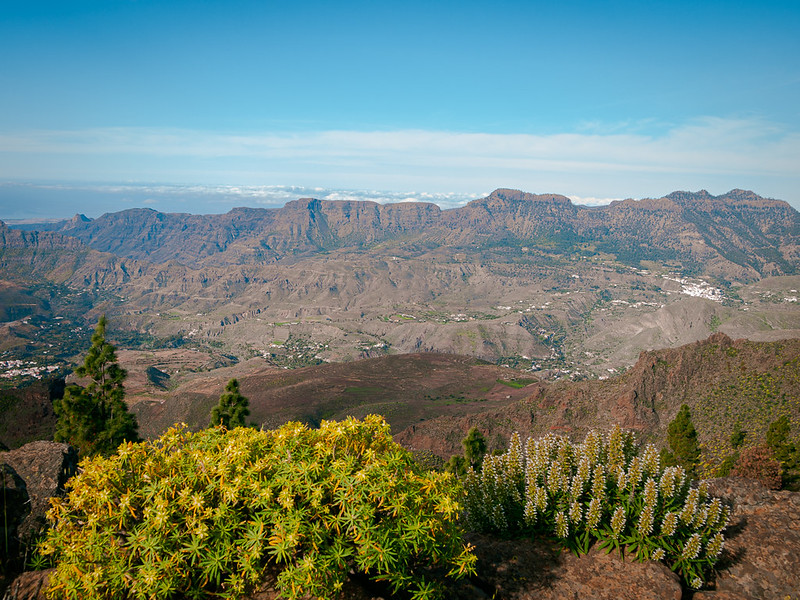 Spring de Antonio R. Torres