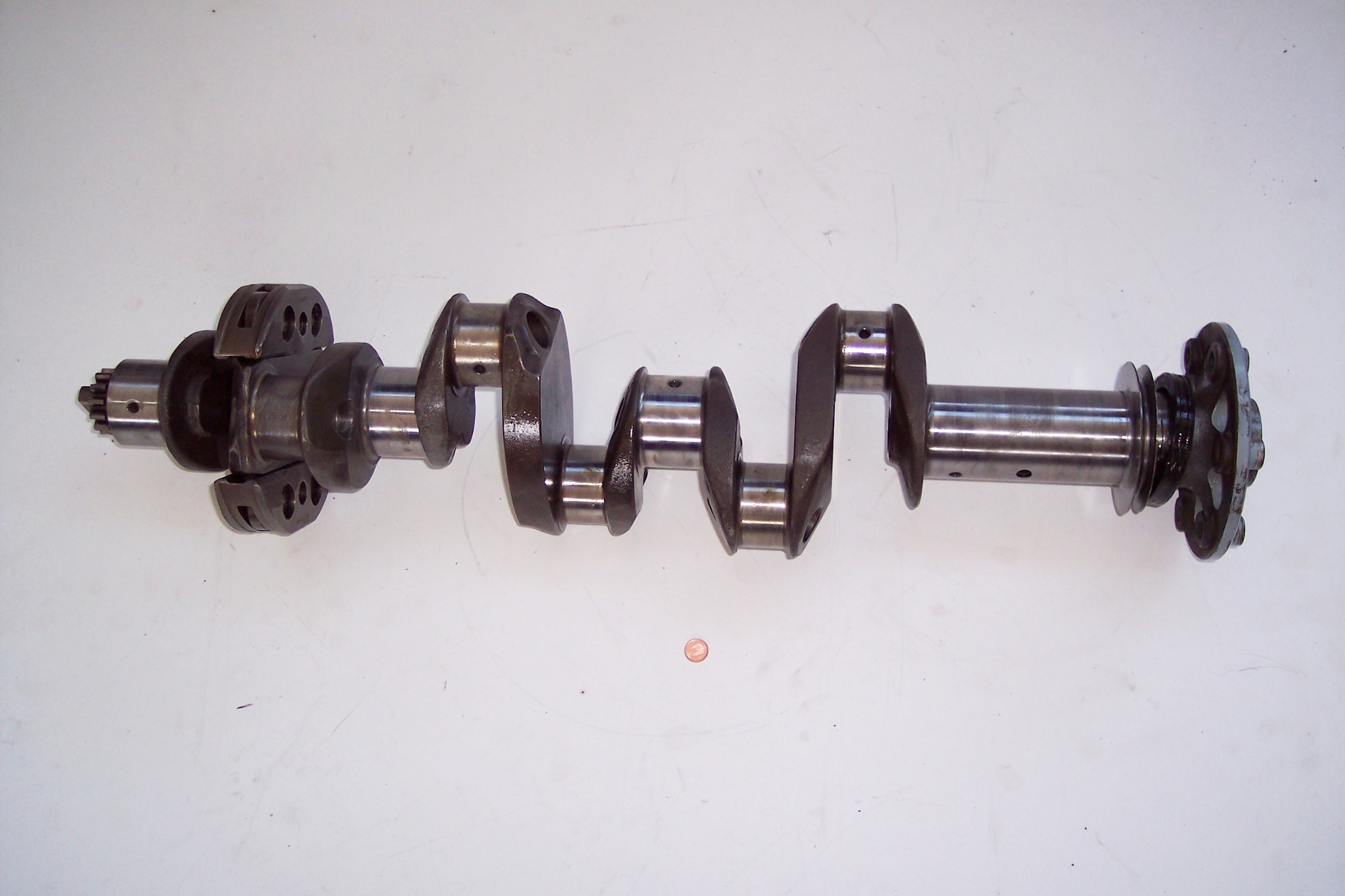 Foto de un cig&uuml;e&ntilde;al aislado.