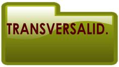 transeversalidade