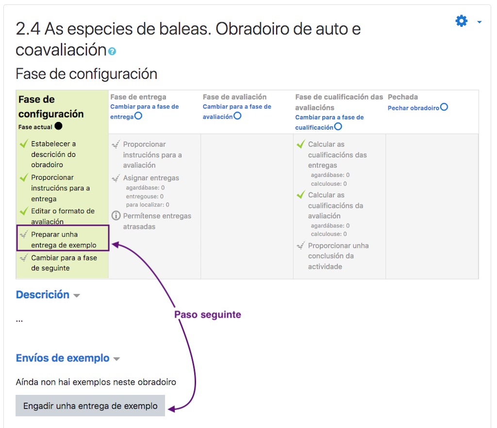 Configuración da actividade "Obradoiro", fase previa ao envío do exemplo para a súa avaliación. 