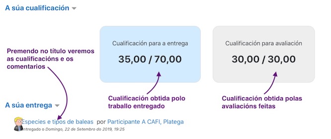 Cualificacións dun taller