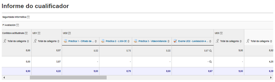 Informe do cualificador