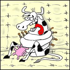 Anexo vaca_tola.jpeg