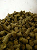 Fotografía de biomasa en forma de pelets.