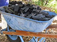 Carretilla con carbón vegetal obtenido por pirólisis.