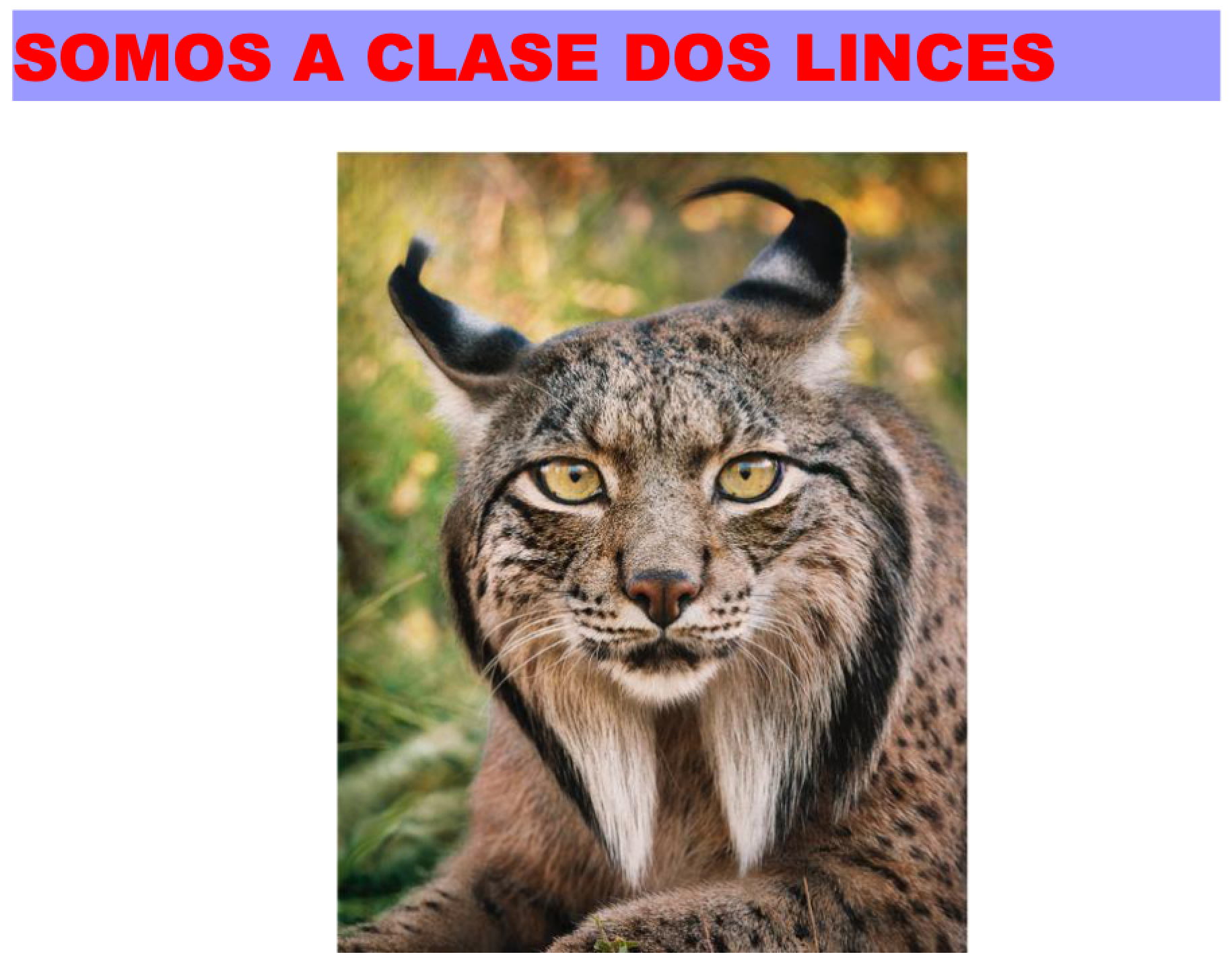 CLASE DOS LINCES