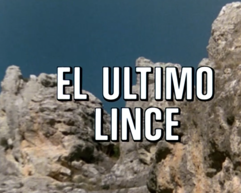VÍDE EL ULTIMO LINCE