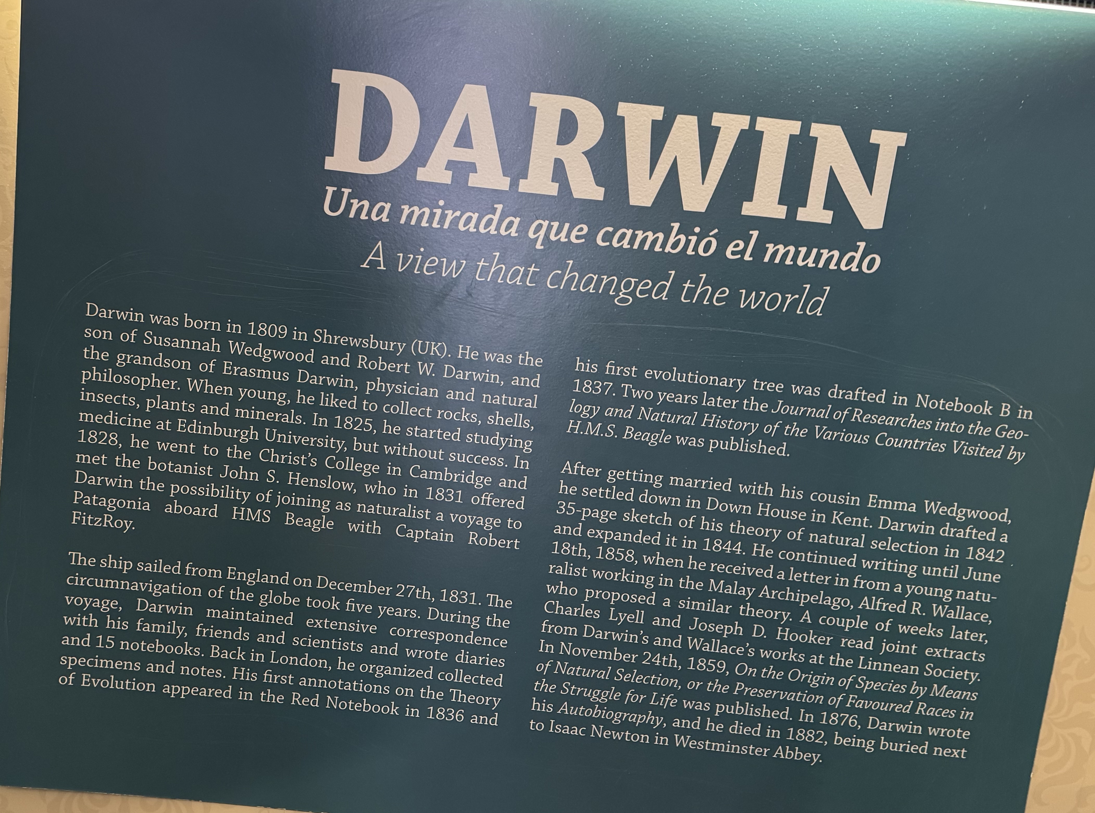 DARWIN