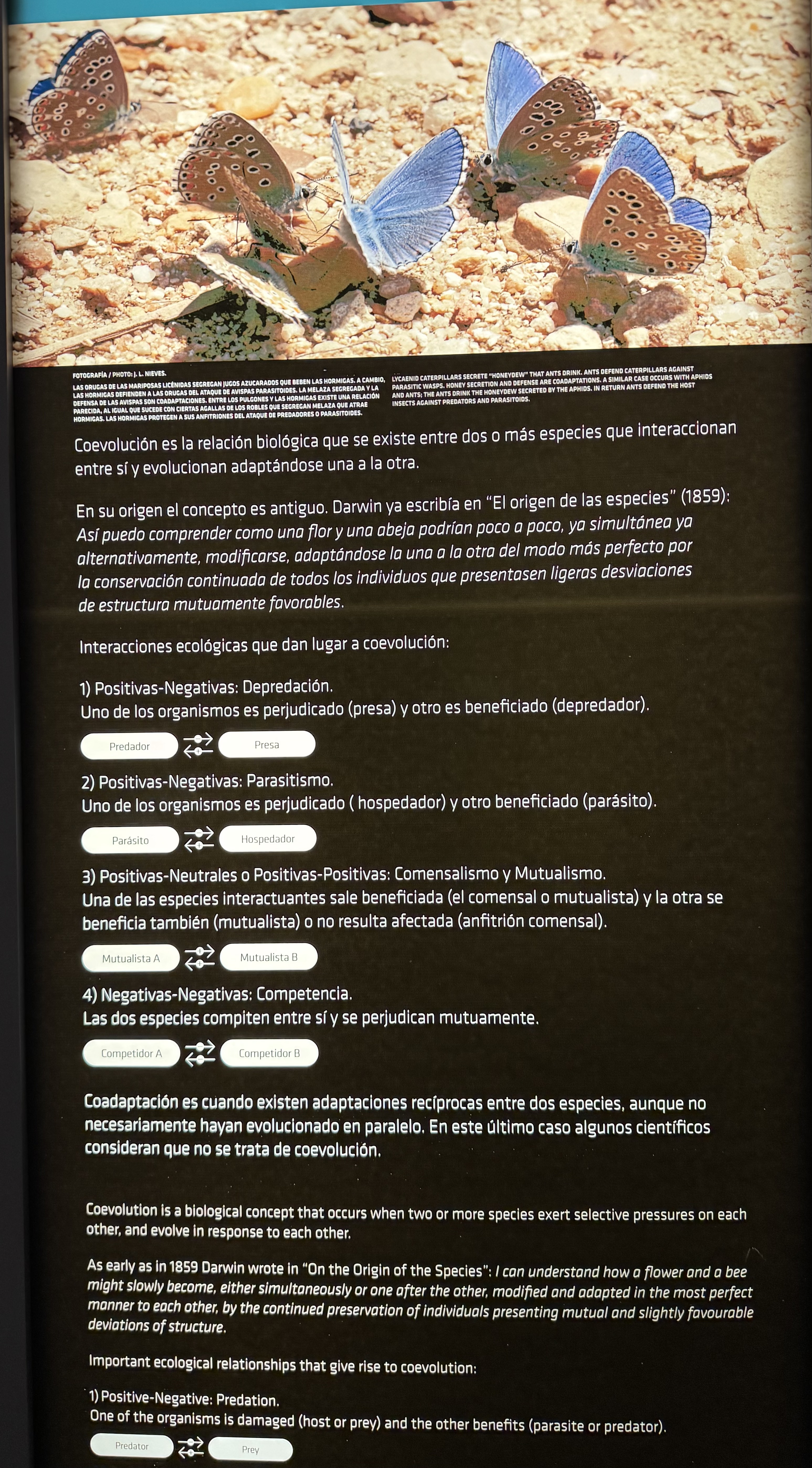 COEVOLUCIÓN