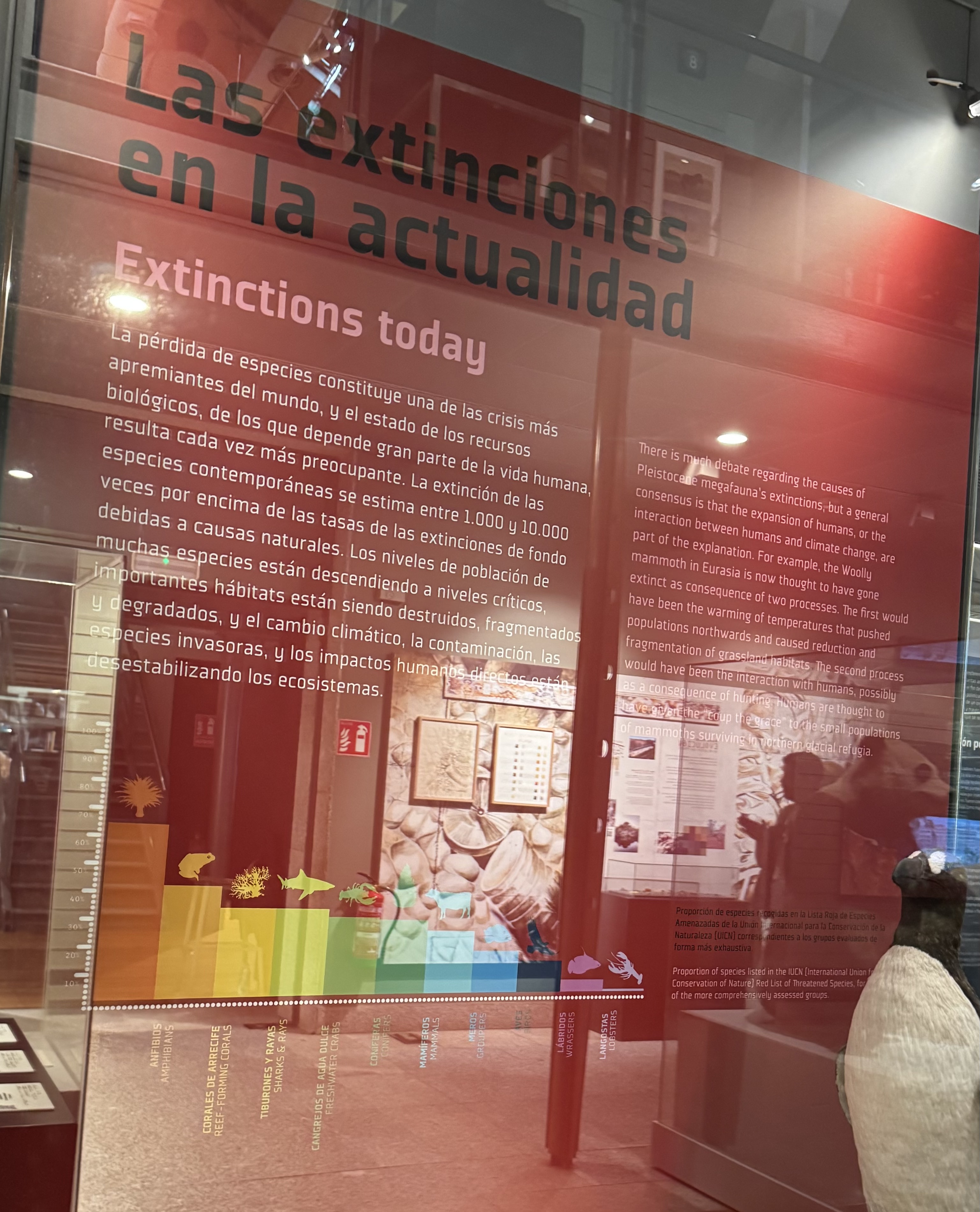 EXTINCIÓNS ACTUALIDADE