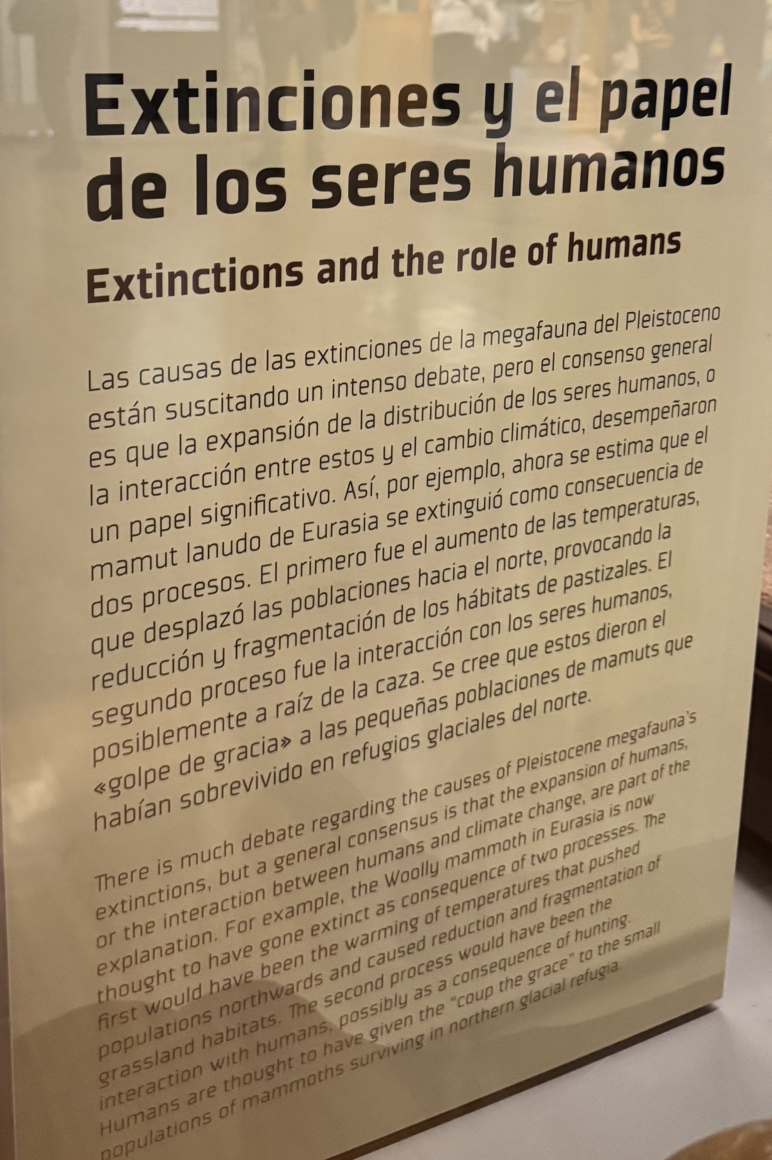 EXTINCIÓNS ACTUALIDADE