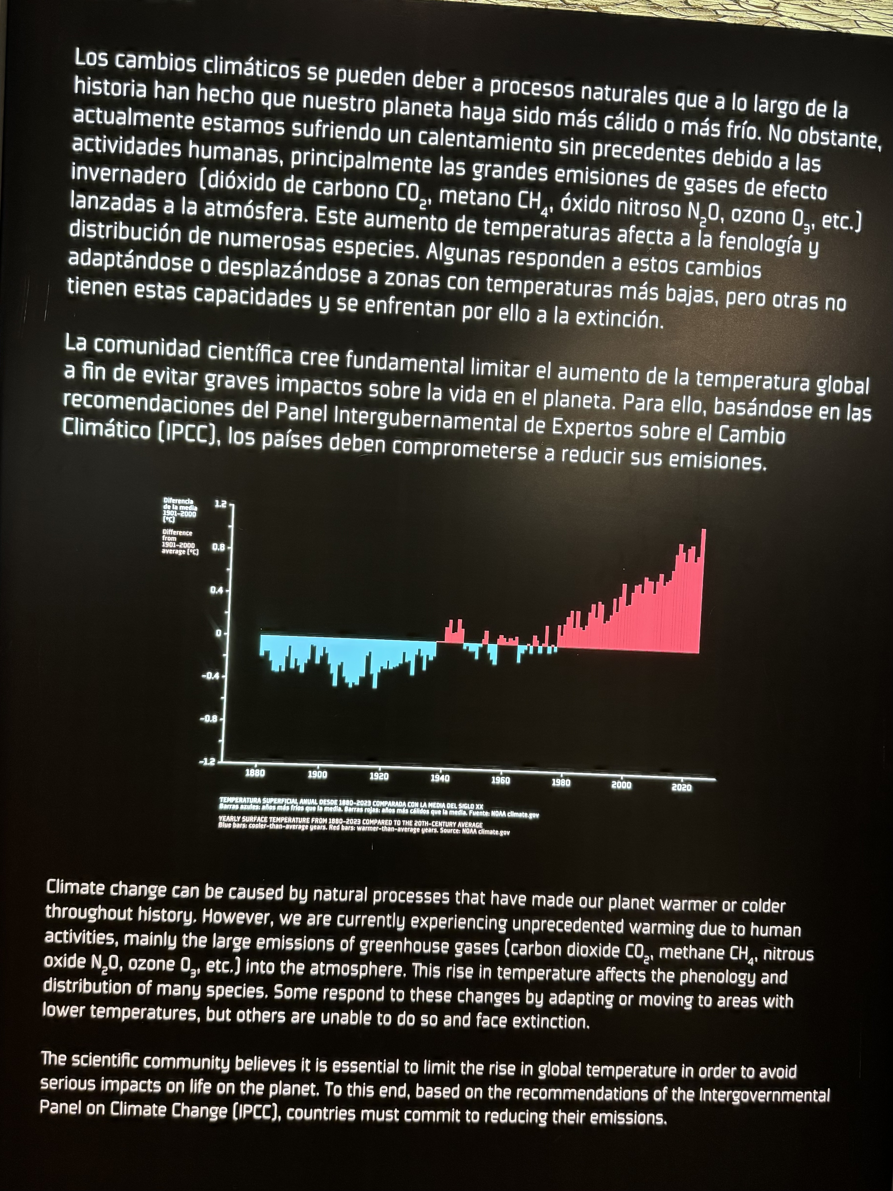CAMBIO CLIMÁTICO