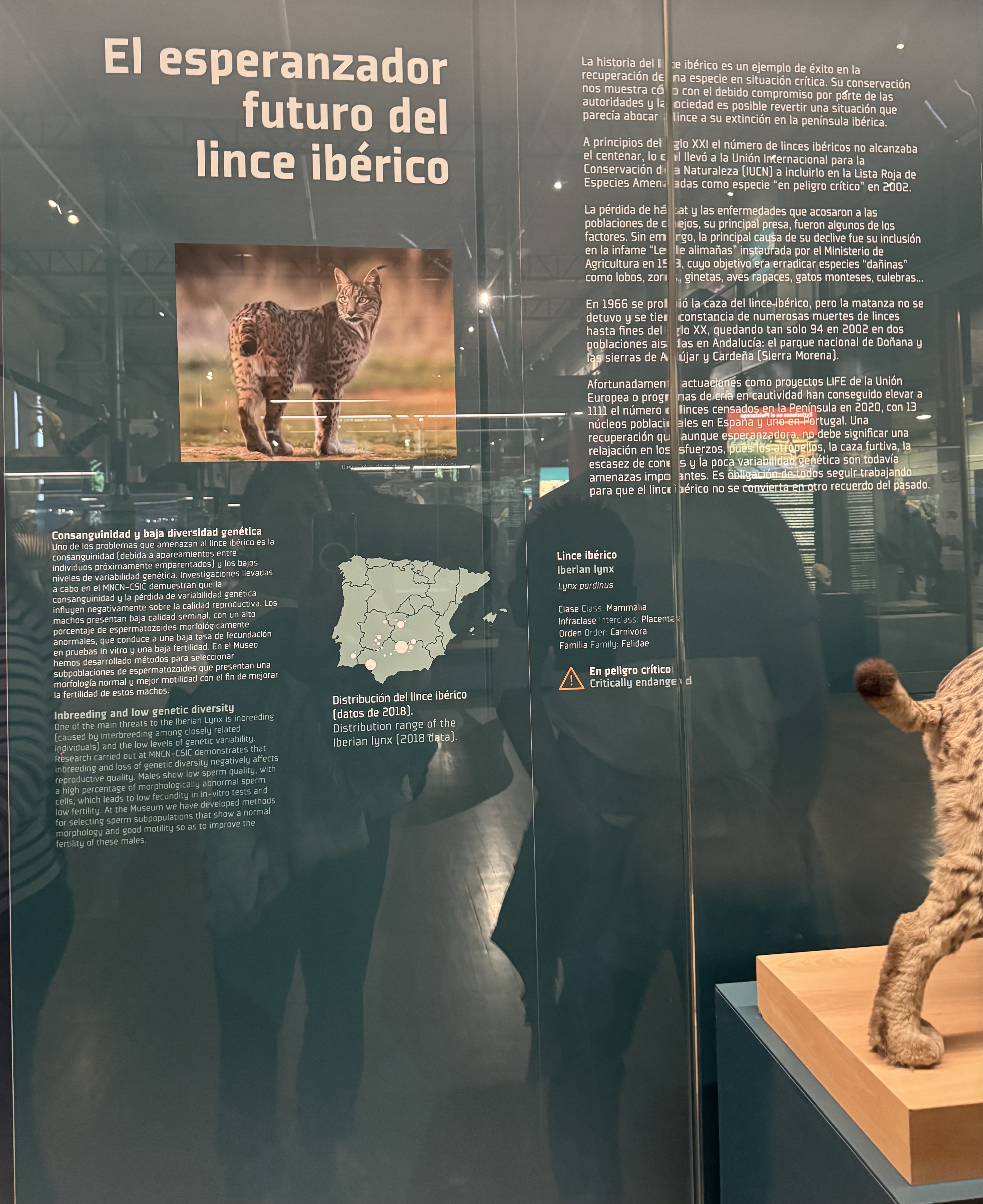 EXTINCIÓNS ACTUALIDADE