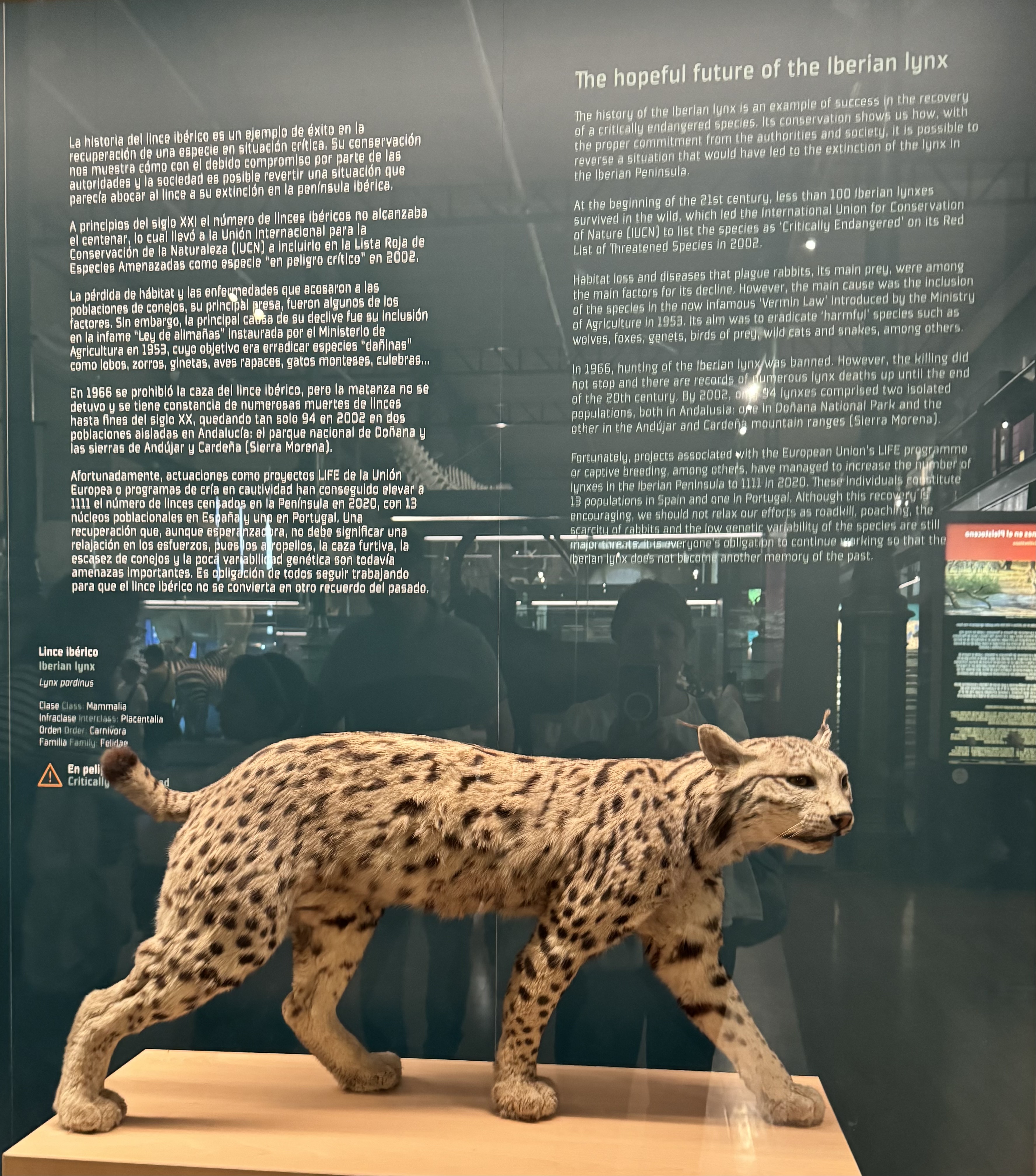 EXTINCIÓNS ACTUALIDADE