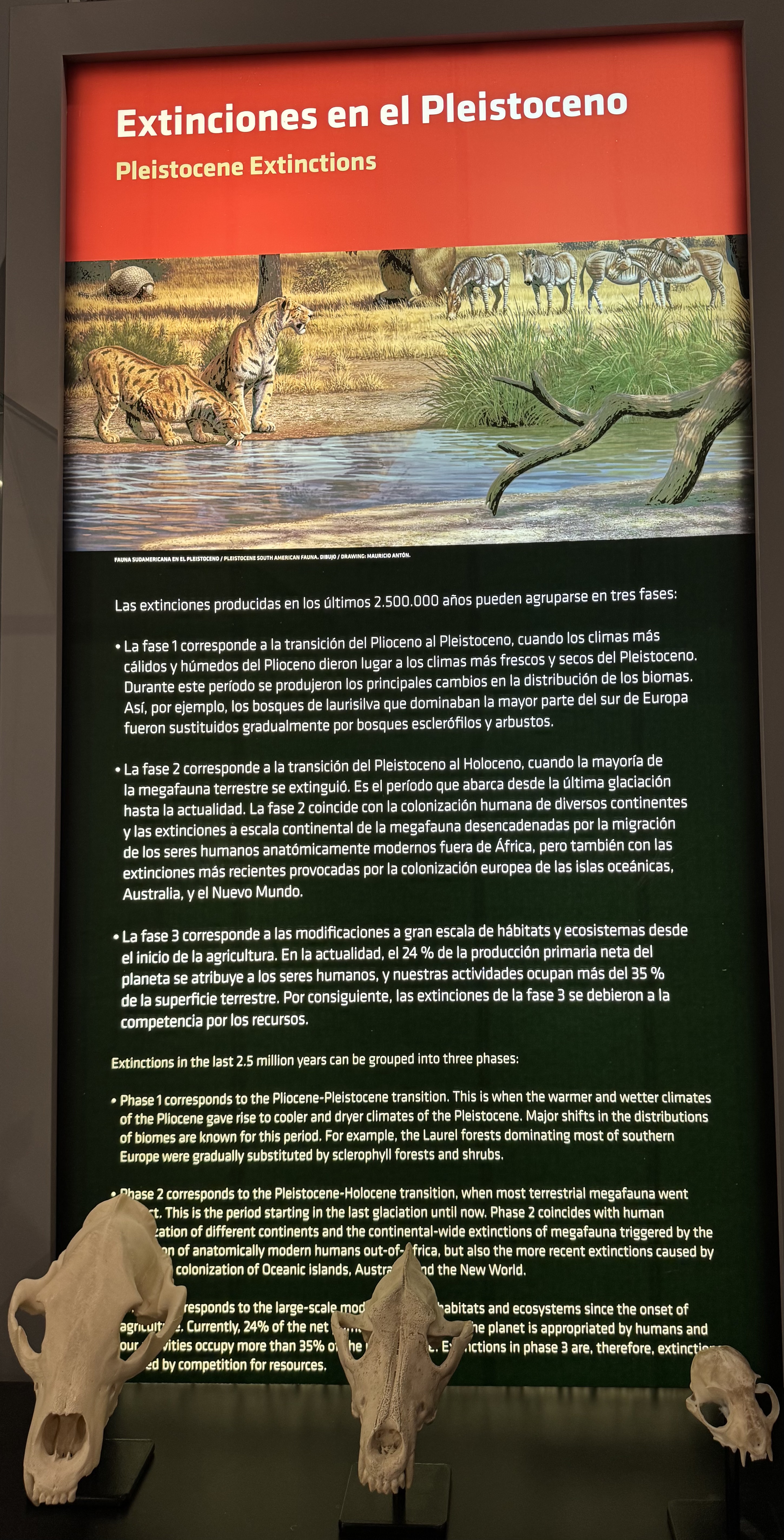 EXTINCIÓNS PLEISTOCENO