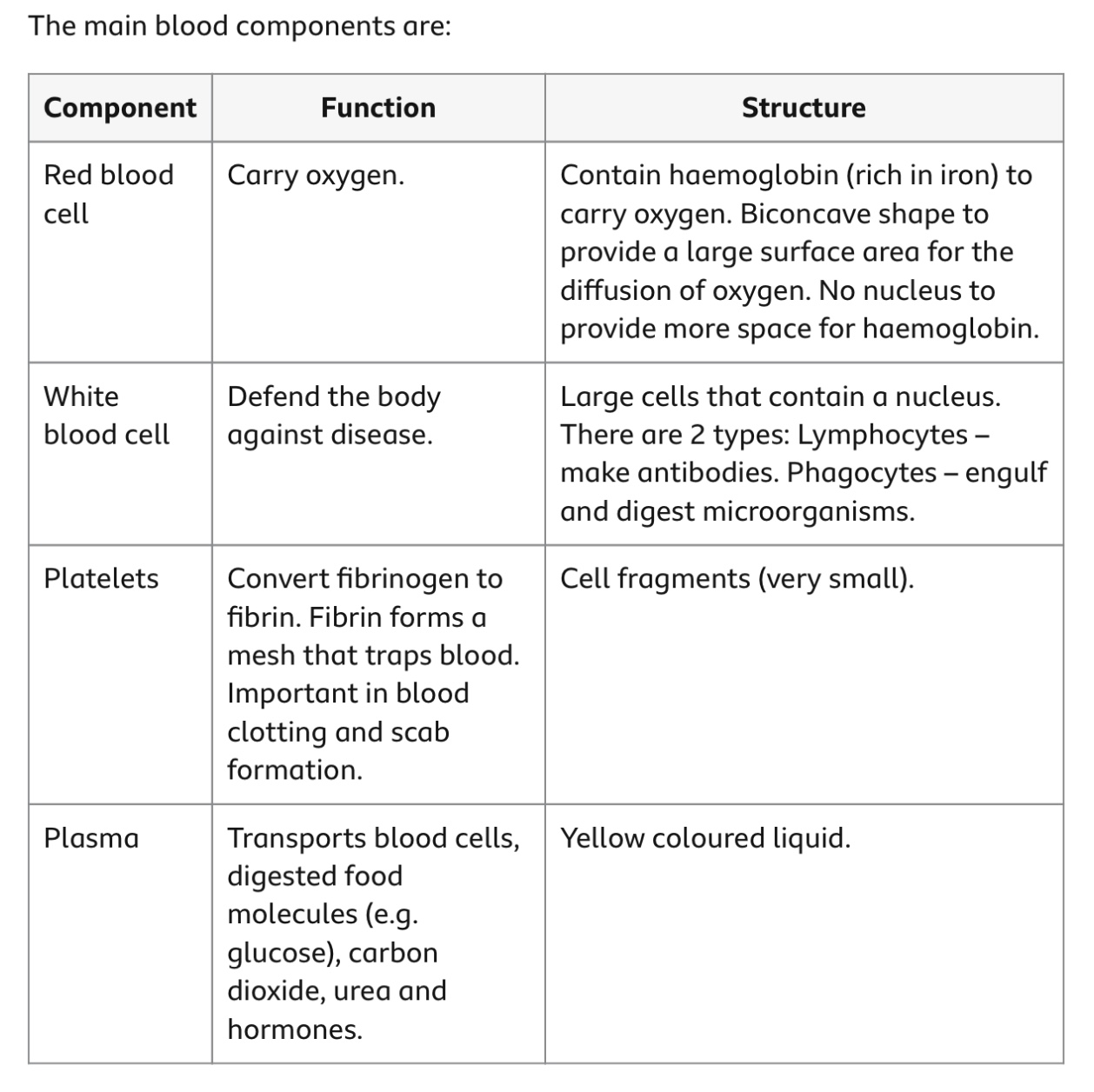 CIRCULATORY SYSTEM