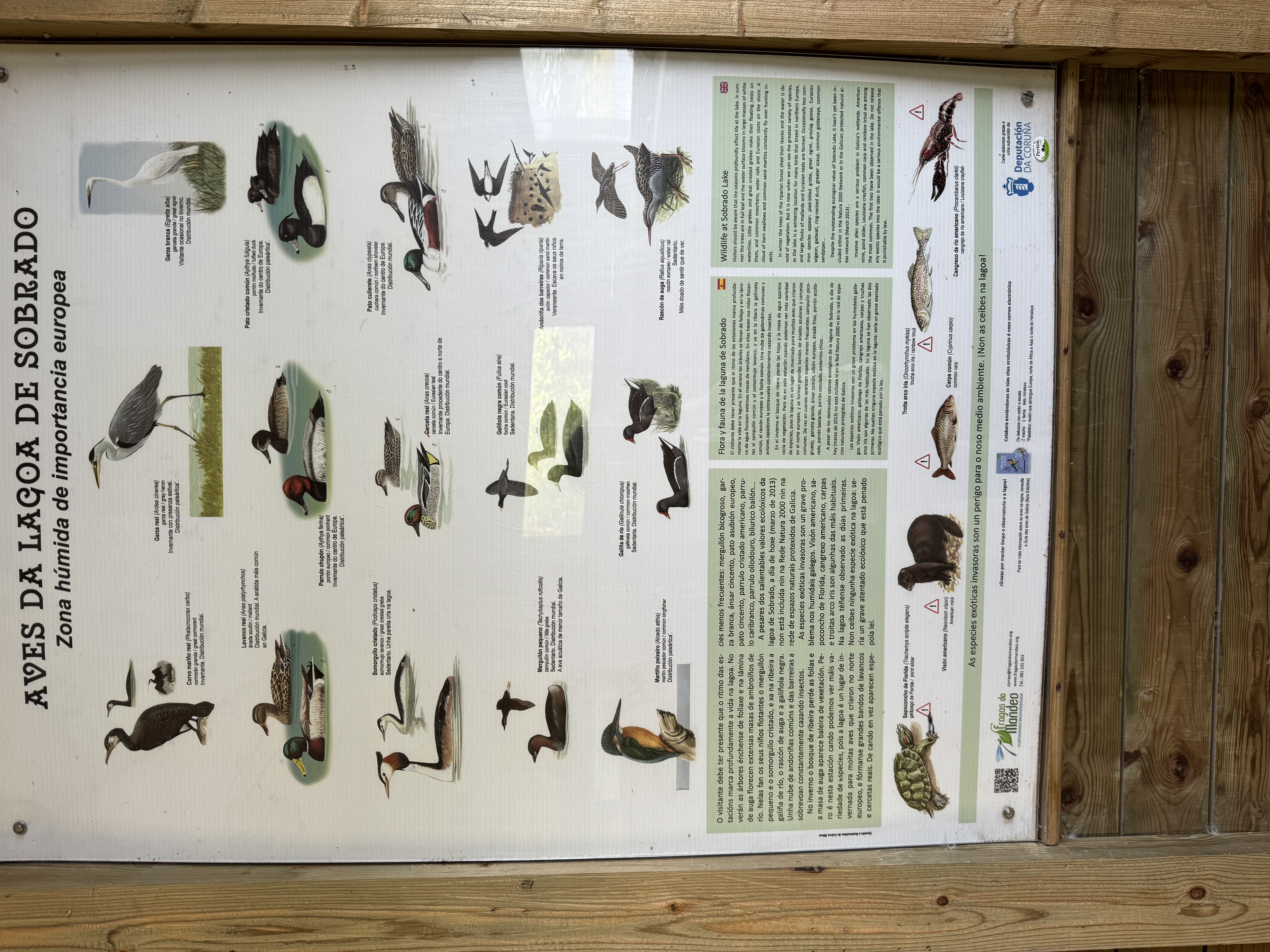 REDE NATURA/SOBRADO DOS MONXES