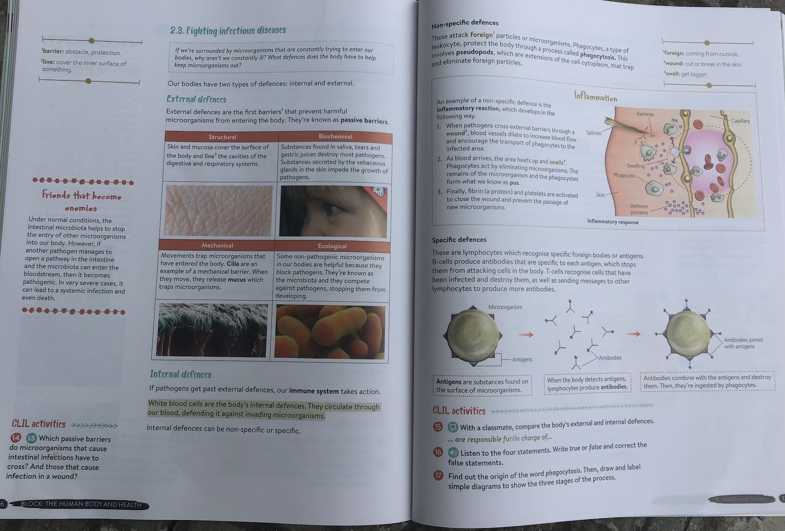 HEALTH AND DISEASE