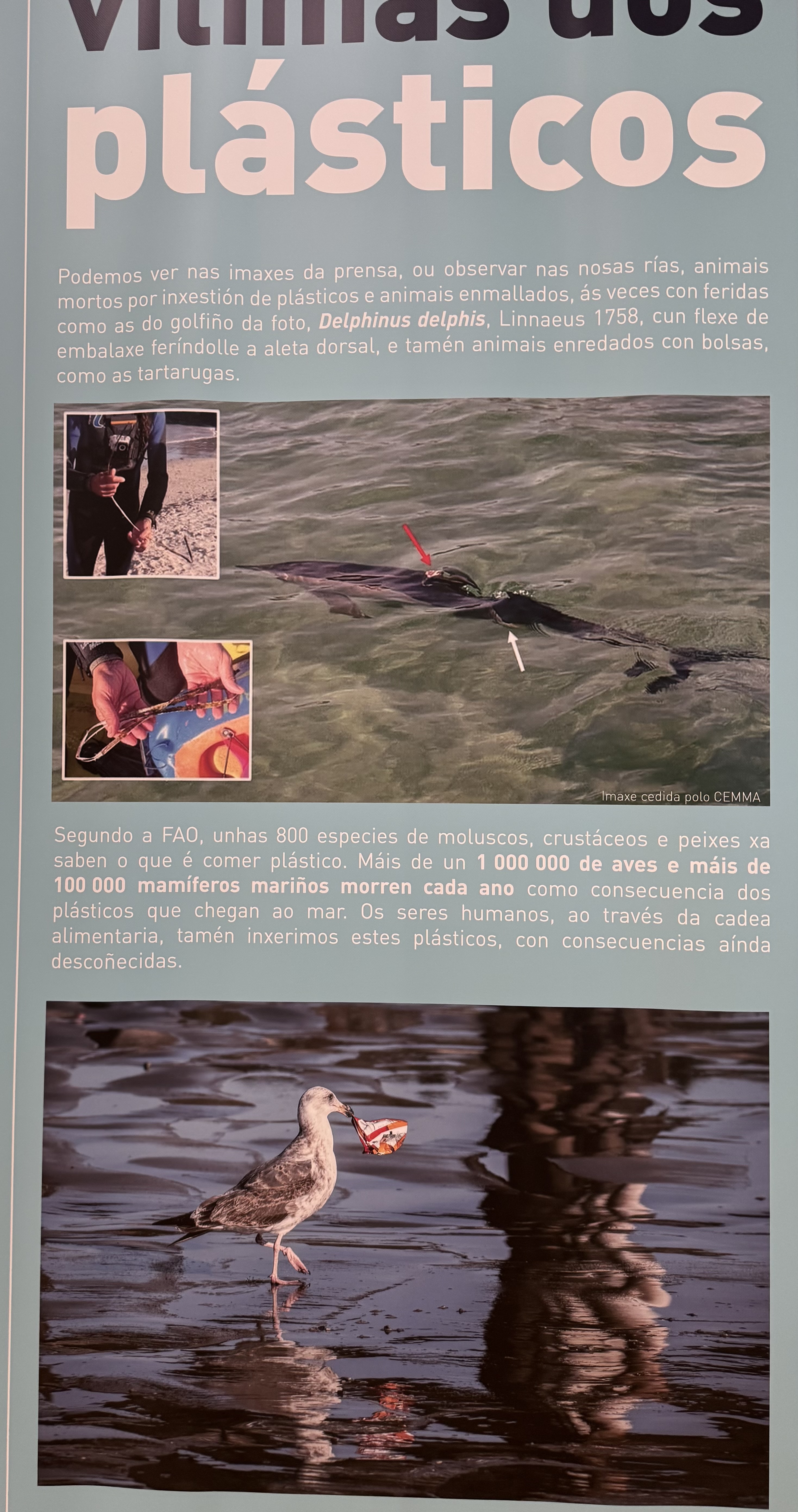 OCÉANO DE PLÁSTICOS