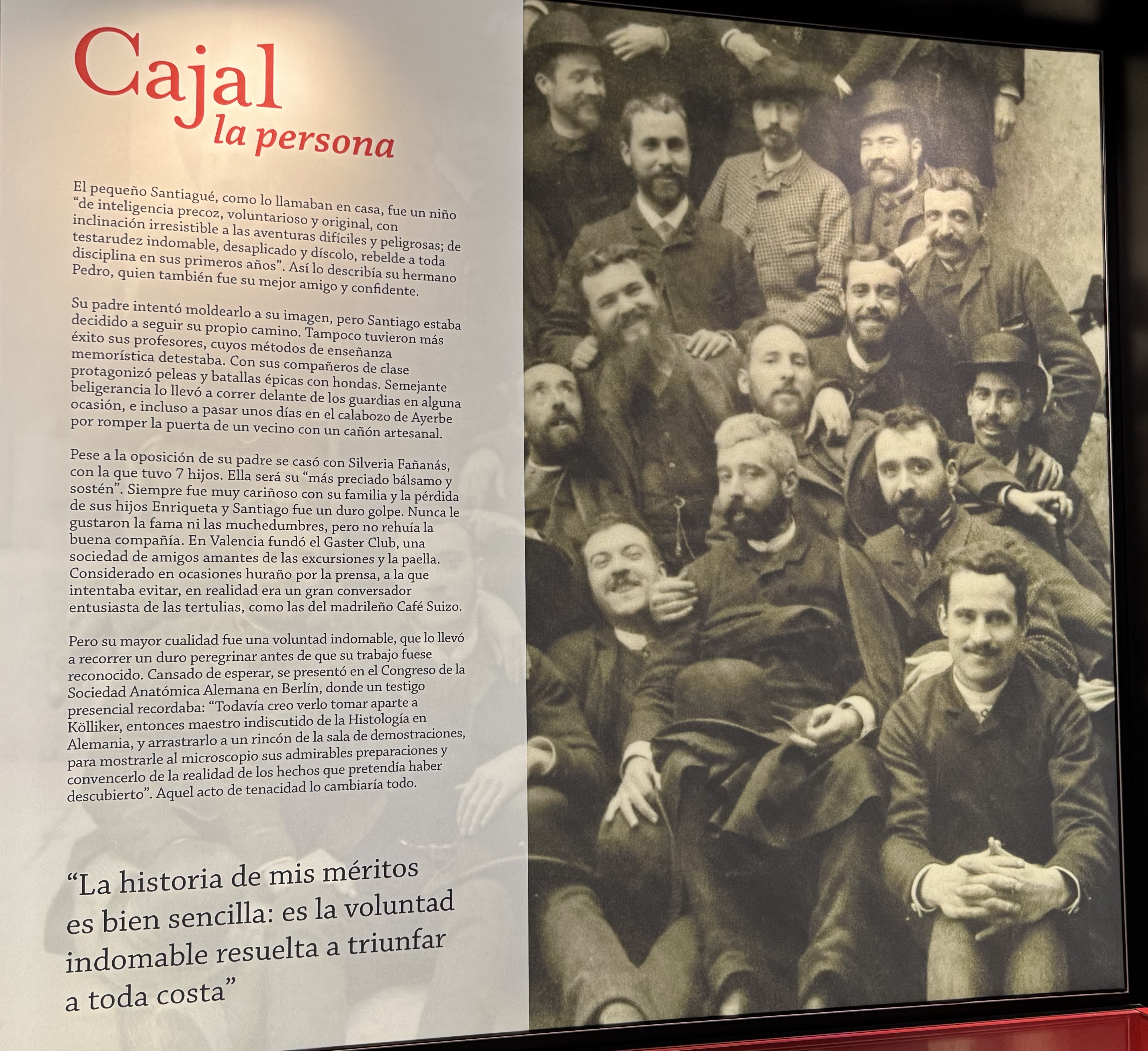 R. S Y CAJAL