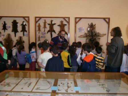 Museo da Sociedade Galega de Historia Natural
