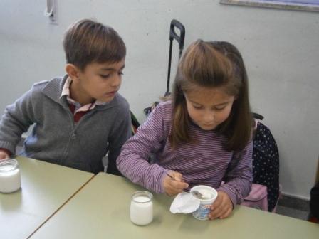 Elaboramos iogur
