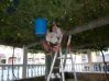 P1010662.JPG