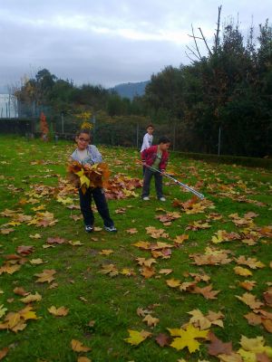 Recollendo follas
Nenos e nenas de 1º de Primaria recollendo follas para a súa compostaxe.
Palabras chave: xardín e horta 1º ciclo primaria