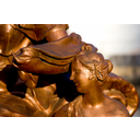 Mostrar la imagen Crear máscara