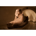 Mostrar la imagen taller_04.jpg