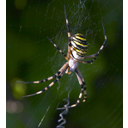 Mostrar la imagen taller_10.jpg