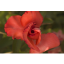 Mostrar la imagen taller_13.jpg