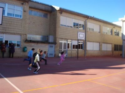 fotos_cole_030.jpg