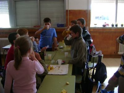 DSC00210.JPG
