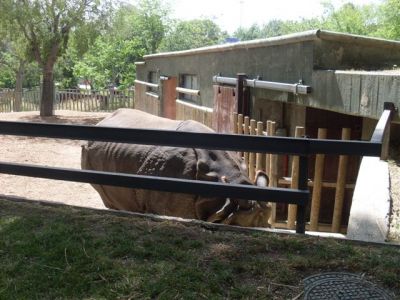 Zoo-Parque_(1).jpg