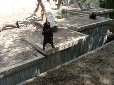 Zoo-Parque_(3).jpg