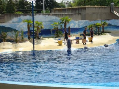 Zoo-Parque_(52).jpg